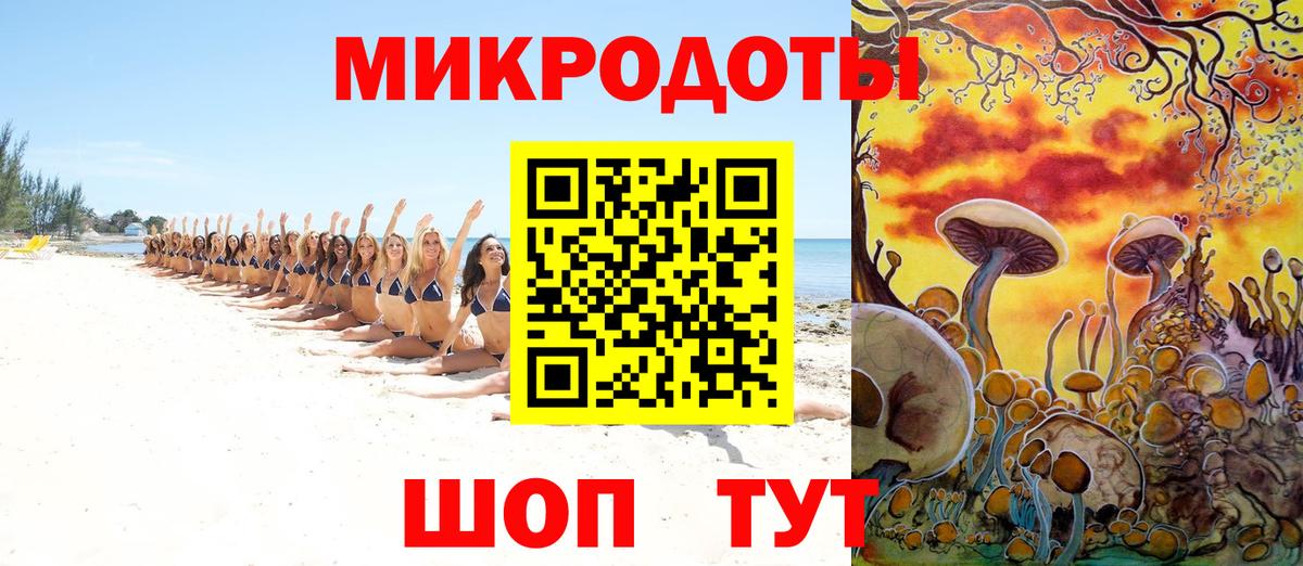 Псилоцибиновые грибы GOLDEN TEACHER  Псилоцибиновые грибы MAGIC MUSHROOMS  Вход с VPN  Ефремов 