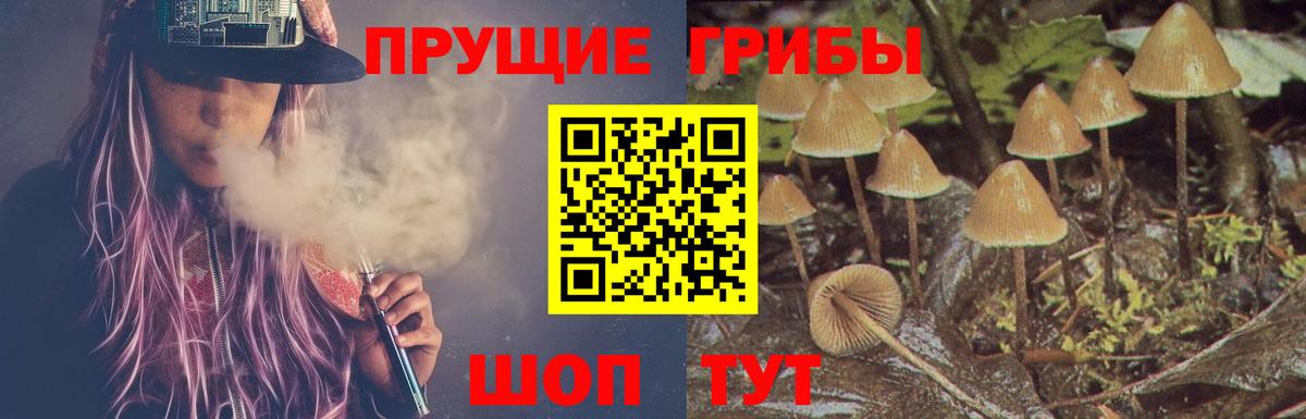 Галлюциногенные грибы мухоморы Ефремов